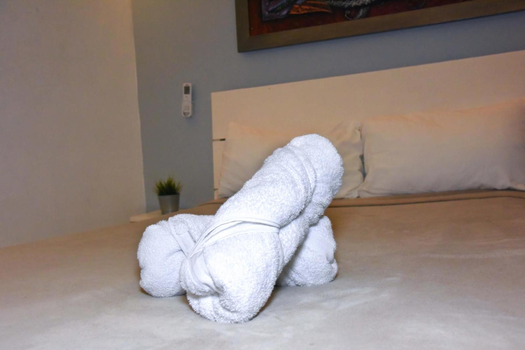 Hostel Gato Colonial Saint-Domingue Extérieur photo